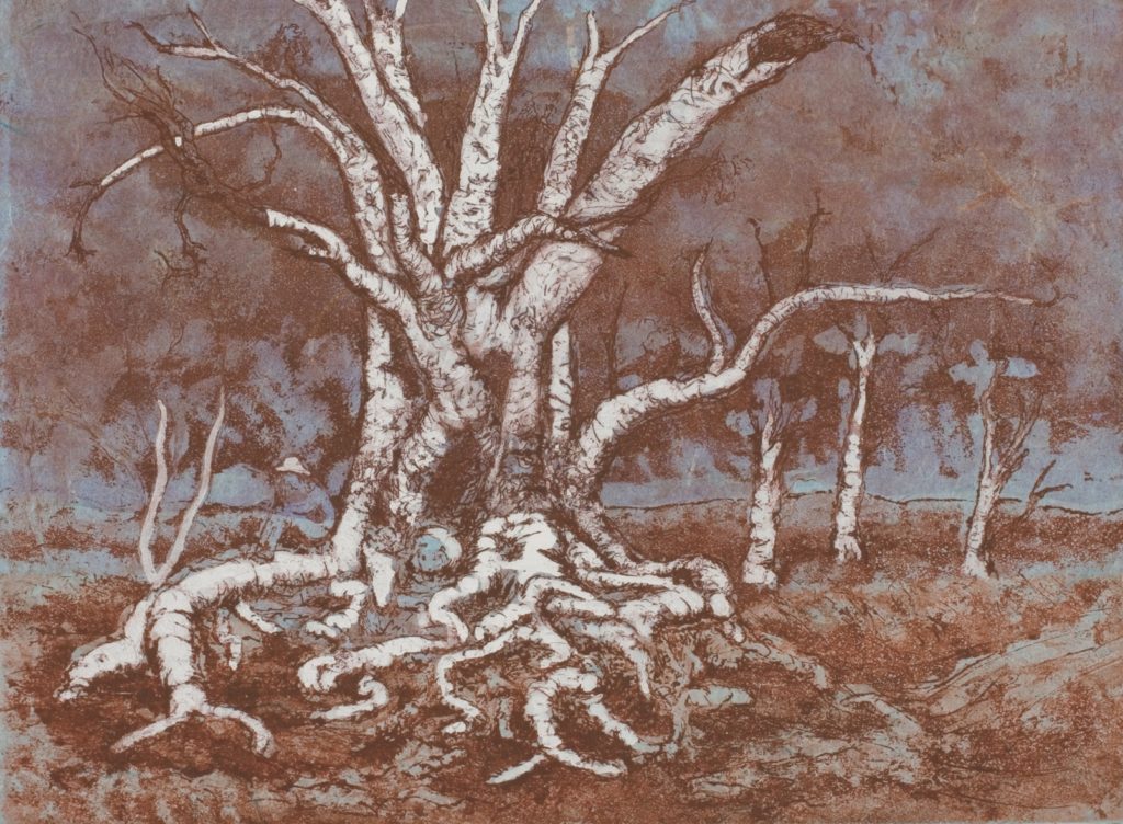 Etching, chine colle, watercolour
Edition of 46
Image size: 22.4 x 30.4 cm (combined)
Paper size: 28 x 38 cm
PCA Print Commission 2005
Reflection was inspired by a new body of work. It echoes my passion for the old gnarled River Red gums that are slowly dying. This etching is derived from a pen and ink drawing. The plate was prepared with a wine-coloured ink and four layers of rice paper, and the tree highlighted with gouache.