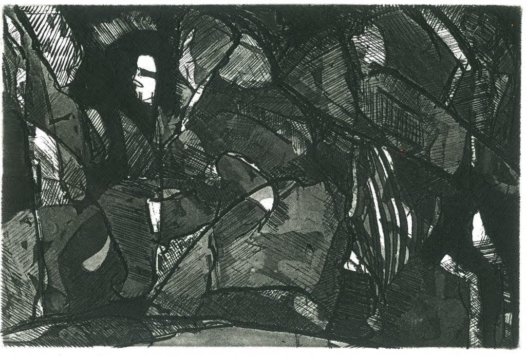 Etching
15 x 22.5 cm
Printed by Megan Finnigan
100 x 100 Portfolio, 1988