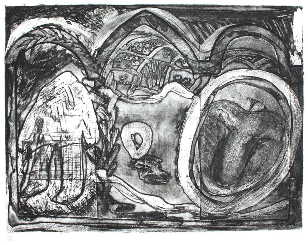 Etching
24.5 x 32.5 cm
Printed by Megan Finnigan
100 x 100 Portfolio, 1988