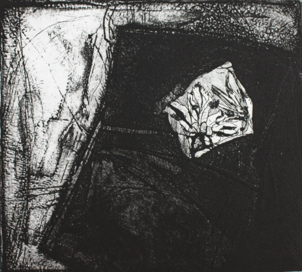 Etching
16.5 x 18.5 cm
Printed by Anne McMaster
100 x 100 Portfolio, 1988